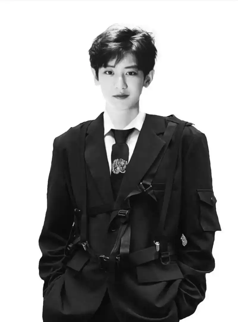 朴灿烈的证件照yyds