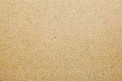 > 纸张背景分享者:唐云山     关键词:       纸张背景黄色质感纹理