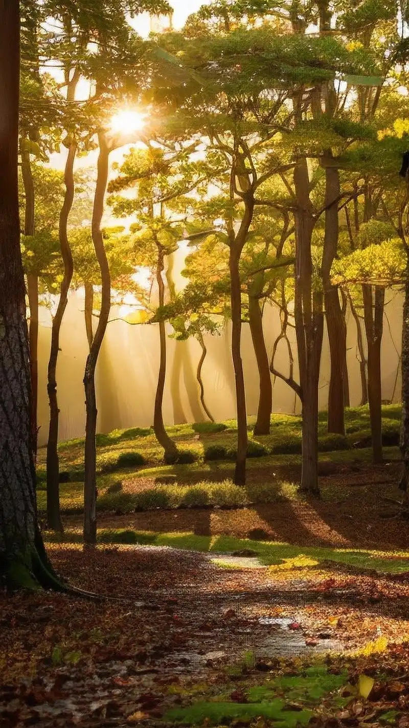 绝美风景壁纸,让你的手机桌面焕然一新92 想要给手机桌面换张新壁纸