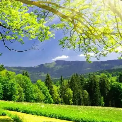 很阳光又很励志的风景治愈系头像很阳光的又很简单的风景头像