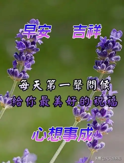 有创意的友情早上好免打字图片带祝福语 温馨的早上好问候图片精选