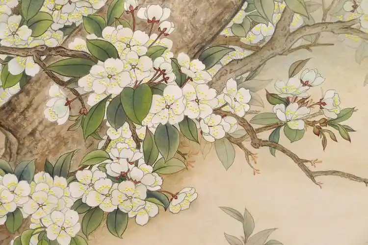 【工笔画素材篇】高清工笔画花鸟图