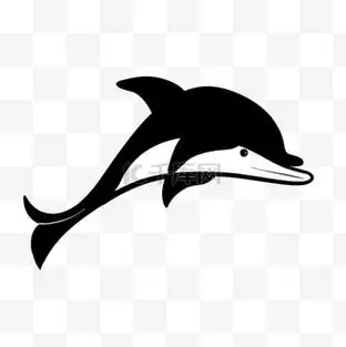 黑白海豚图片_黑白海豚素材-黑白海豚图片大全-千库网