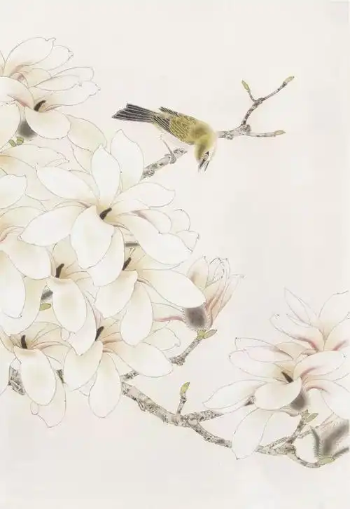 工笔白玉兰是这样画出来的