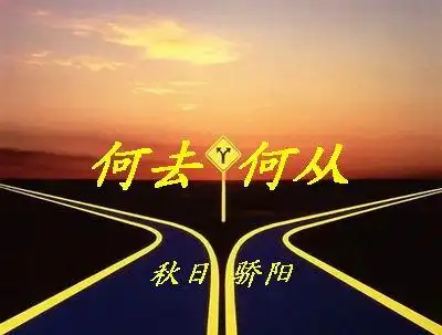 星月何去何从小说