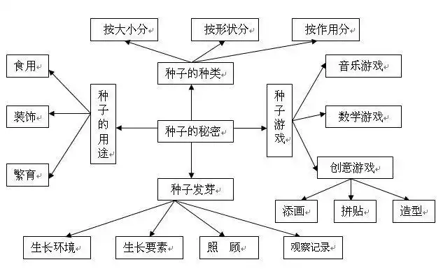 中班主题活动:种子的秘密
