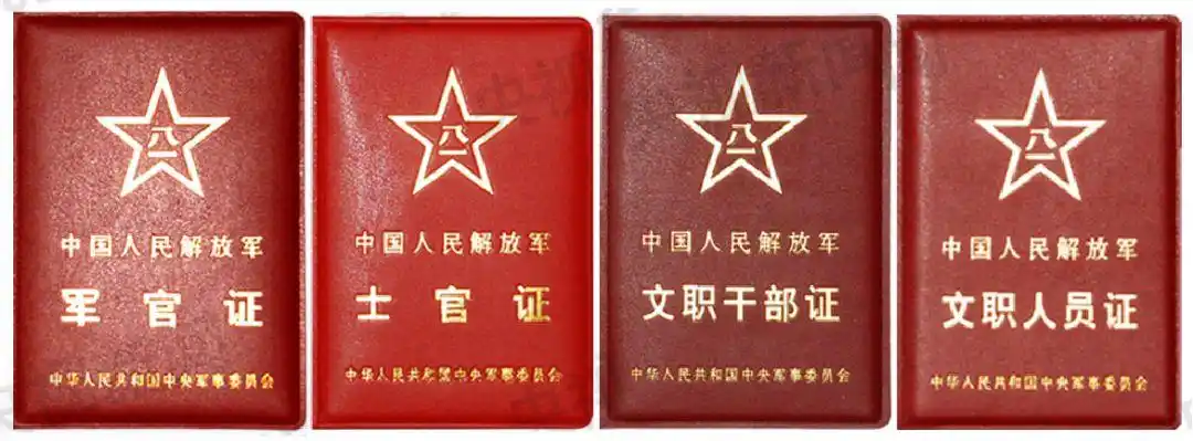护照,军官证,文职干部证,义务兵证,士官证,文职人员证,职工证,武警