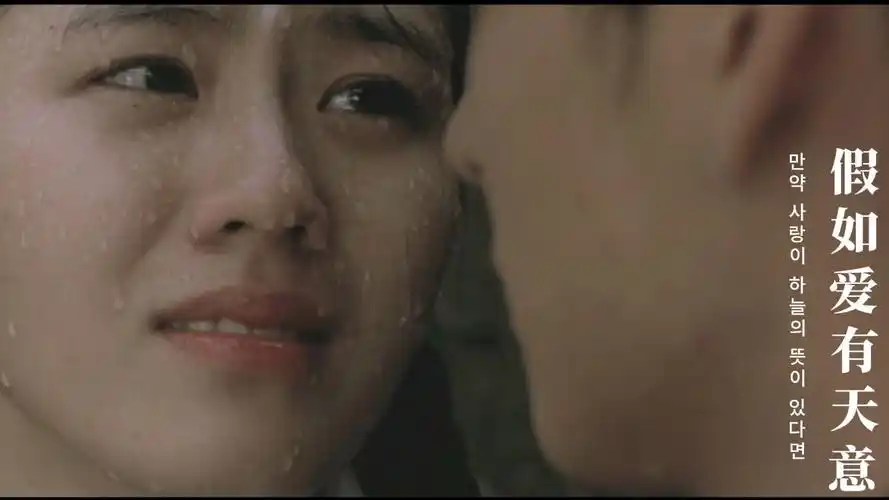 缘起天定,爱非偶然,一场跨越时空的唯美爱恋《假如爱有天意》