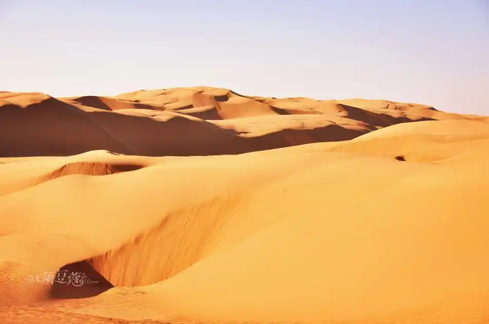 内蒙古恩格贝沙漠 日落风光无限好
