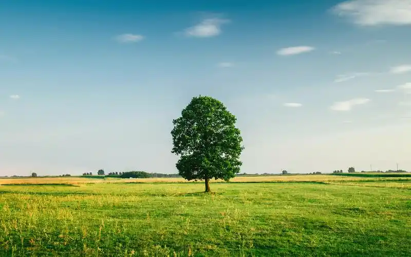 草原风景高清电脑桌面壁纸图片