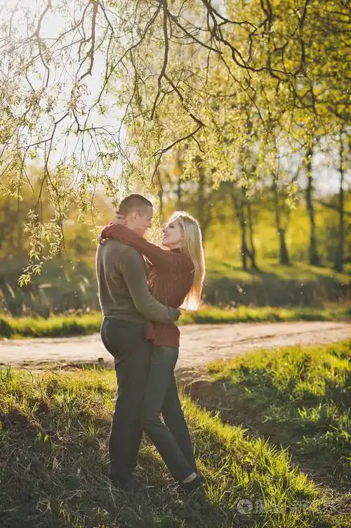 恋人拥抱在树林中的夕阳的光芒