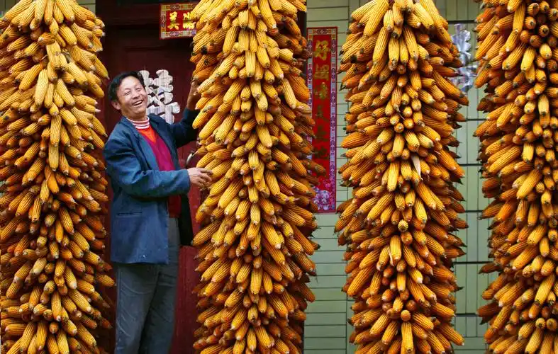 《丰收的喜悦》2011年摄于桦甸