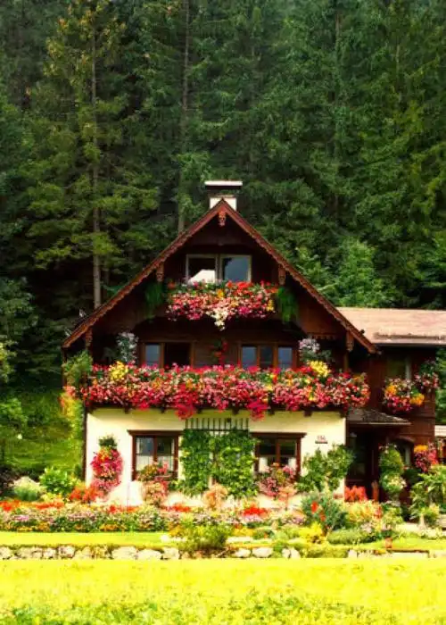 心理测试哪个小屋最不耐寒测你的婚姻会成为爱情的坟墓吗