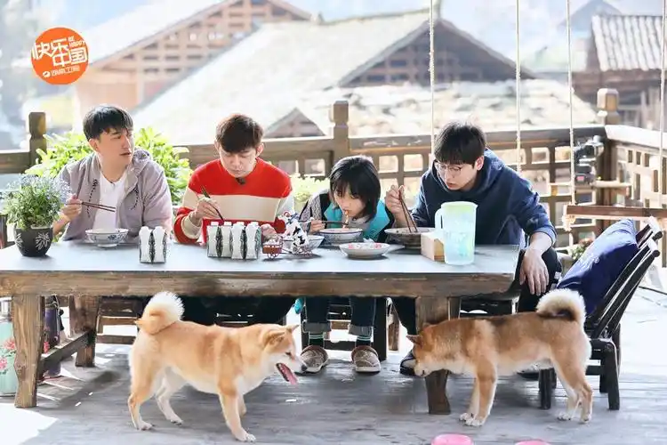 《向往的生活》第四季定档海报释出 黄磊何炅彭昱畅张子枫重聚