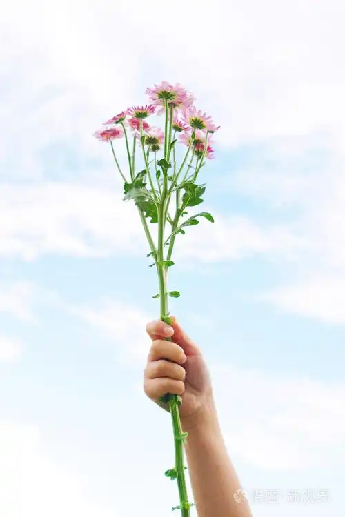 年轻女孩子的手在空气中拿着一束野花蔚蓝色的天空