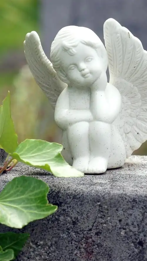 天使小雕像,植物 iphone 壁纸