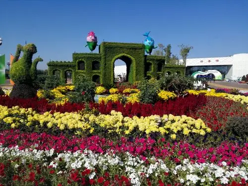 银川花博园聆听花开的声音