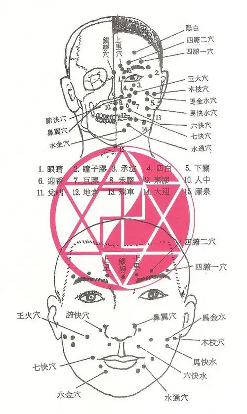 [转载]董氏奇穴针灸学习-17面部