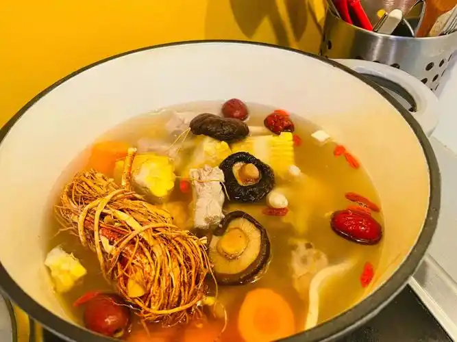 留学生煲汤大全五指毛桃排骨汤