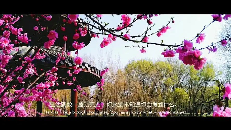 春色满园关不住一枝红杏出墙来的意思(春色满园关不住一枝红杏出墙来