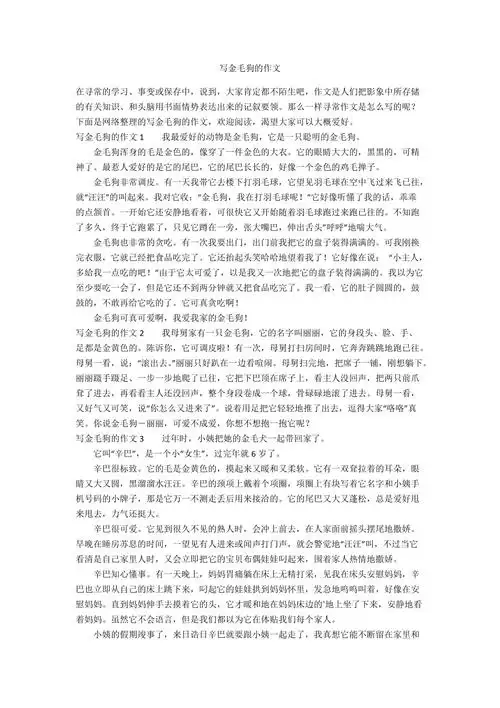 写金毛狗的作文
