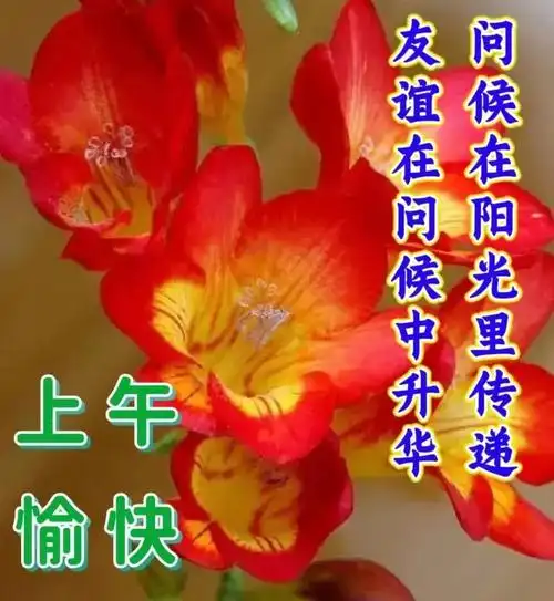 早上好精美祝福图片带字9张早上好表情包群发亲友早安问候语大全