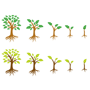 成长素材图片大全