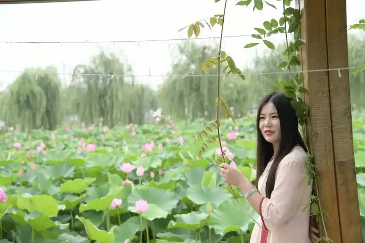 淡然一笑回眸处