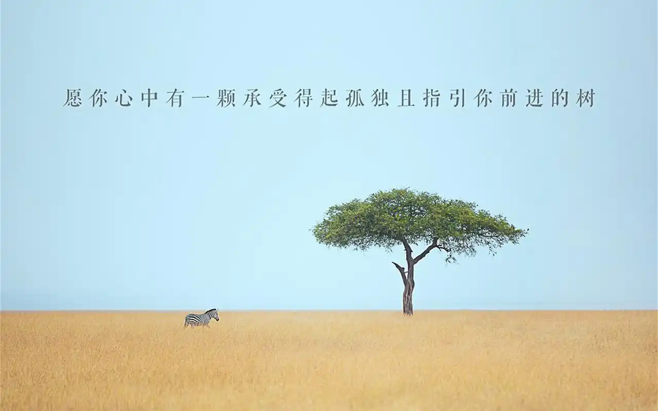 唯美文艺文字语录图片桌面壁纸,文艺小清新的自然风景,充满正能量的