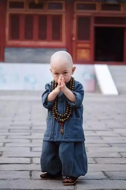 李郎:我敬岁月五杯酒(摄影:李郎)