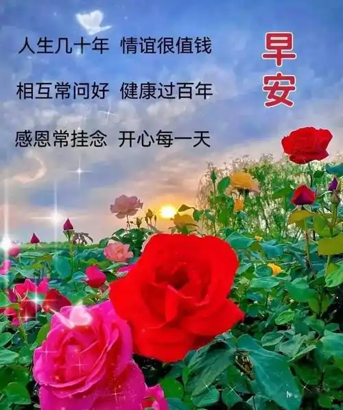 早安温馨问候祝福图片_短信_亲爱的_顿美美