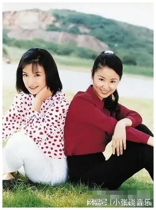 赵薇股权再遭冻结,原来她做的"丑事",远比你想象得更恶劣|记者|叶茂青