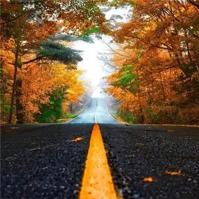 成熟男人微信头像风景2019 风不识路才会没有归宿 676767,男生