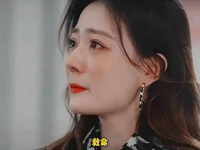 谁懂我的悲伤,没有人能平静地从这本书里走出来,全都哭的稀里哗啦的.