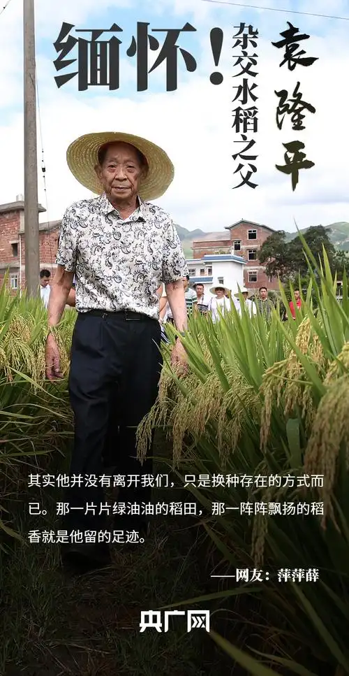 网友集体缅怀袁隆平:您是看着我们吃完午饭才走的