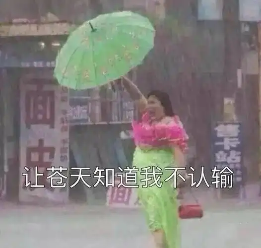 打工人下雨天上班表情包