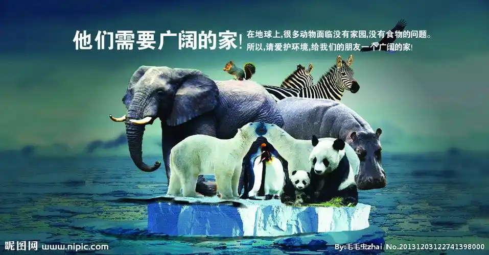 爱护动物公益展板图片