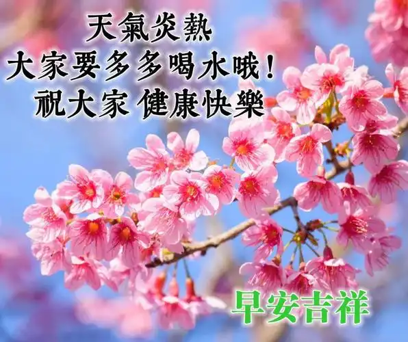 大家早上好祝福语微信早上好图片和问候语