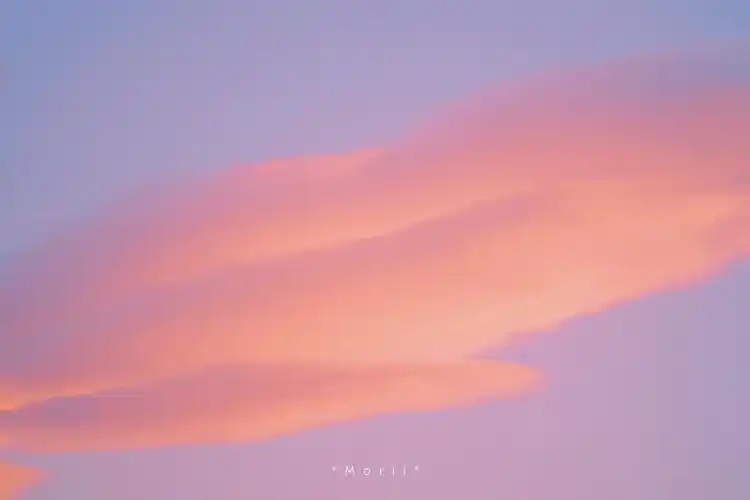 关注            云朵幻化成棉花的模样」 摄影 壁纸 风景 云朵 天