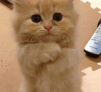 女老师的表情包评语意外走红脑洞逆天的却不止她一个