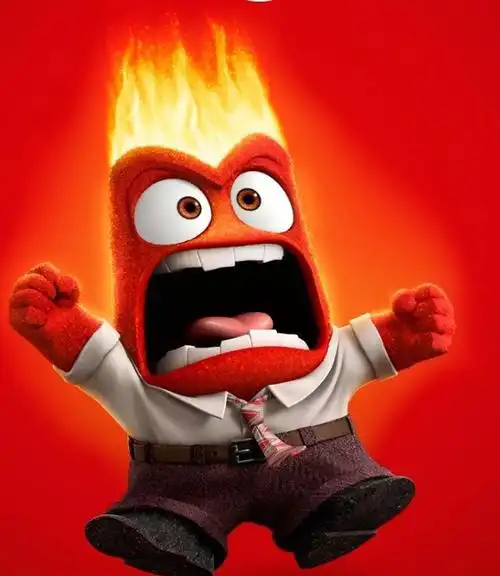 小学生优秀习作:《我愤怒了》