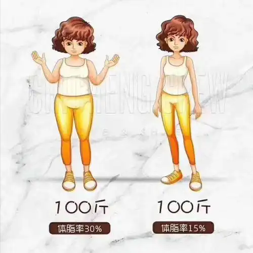 成功减肥的关键,是降低体脂率