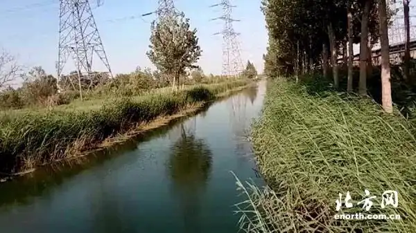天津杨柳青镇持之以恒推进水环境治理和生态保护