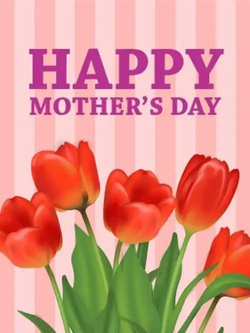 母亲节快乐