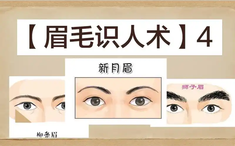 眉毛识人术超详细讲解眉相面相大全麻衣神相
