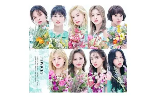 twicefeelspecialjapanesever中日字幕募念制