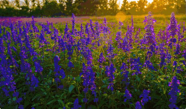 640_376gif 动态图 动图