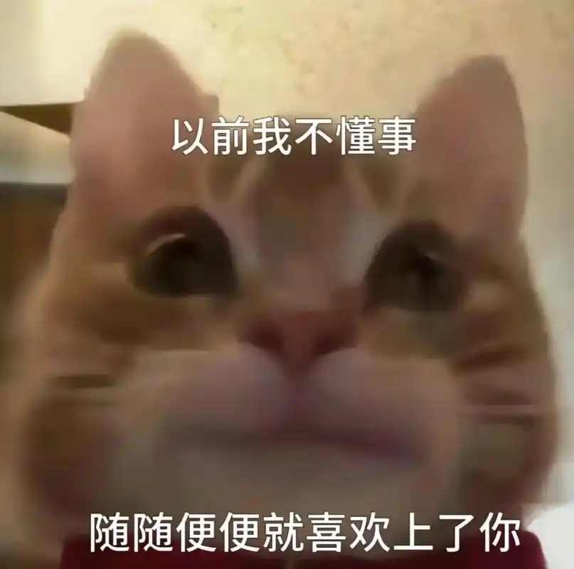 如果你不爱我就把我的心还我.#猫咪表情包 #抖音表情包 #发 - 抖音