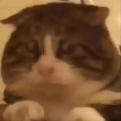 你…你干嘛?" ๑表情包