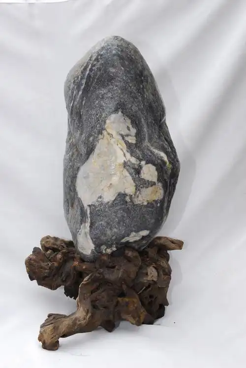 奇石 请专家评定